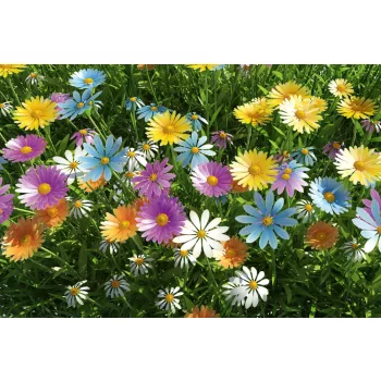 Vlies Fotótapéta - Spring - 375x250 cm