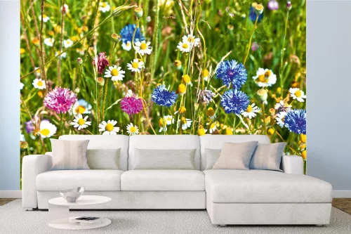 Vlies Fotótapéta - Wild flowers field - 375x250 cm