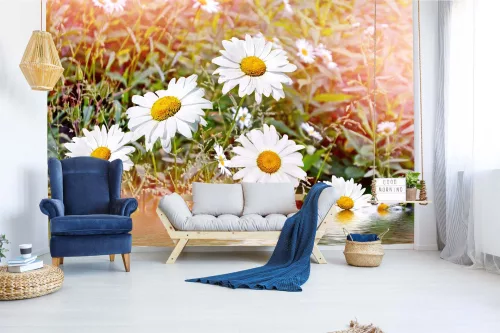 Vlies Fotótapéta - Chamomile - 375x250 cm