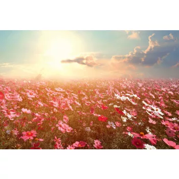 Vlies Fotótapéta - Nature landscape - 375x250 cm