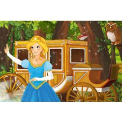 Vlies Fotótapéta - Princess and carriage - 375x250 cm