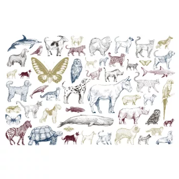   ANIMAL COLLECTION II fotótapéta, poszter, vlies alapanyag, 375x250 cm