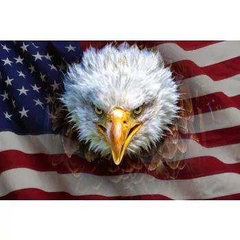 Vlies Fotótapéta - American Flag and Eagle - 375x250 cm