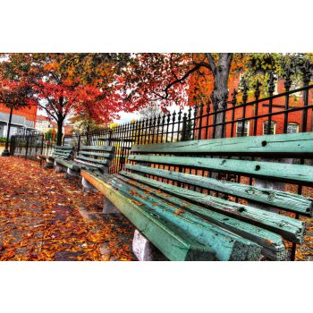 Vlies Fotótapéta - City bench - 375x250 cm