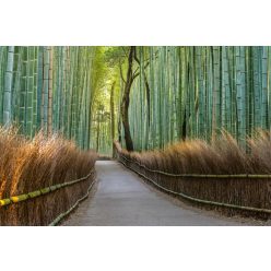 Vlies Fotótapéta - Bamboo footpath in Japan - 375x250 cm