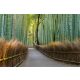 Vlies Fotótapéta - Bamboo footpath in Japan - 375x250 cm