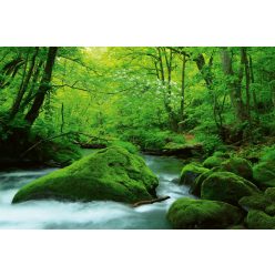   STREAM IN JAPAN fotótapéta, poszter, vlies alapanyag, 375x250 cm