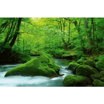   STREAM IN JAPAN fotótapéta, poszter, vlies alapanyag, 375x250 cm