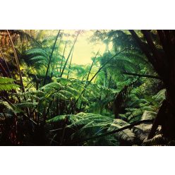 Vlies Fotótapéta - Jungle in Hawaii - 375x250 cm