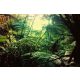 Vlies Fotótapéta - Jungle in Hawaii - 375x250 cm