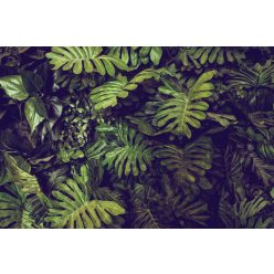 Vlies Fotótapéta - Green Monstera leaves - 375x250 cm