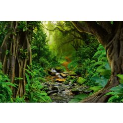 Vlies Fotótapéta - River in tropics - 375x250 cm