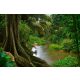Vlies Fotótapéta - Asian jungle - 375x250 cm