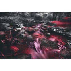 Vlies Fotótapéta - Flowing water in ravine - 375x250 cm