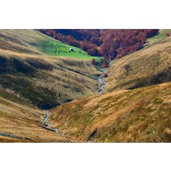 Vlies Fotótapéta - Stream in valley - 375x250 cm