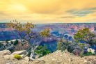 Vlies Fotótapéta - Morning light at Grand Canyon - 375x250 cm