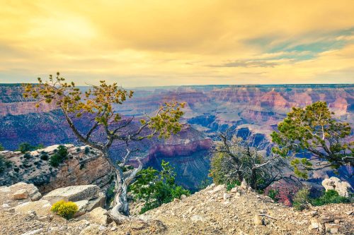 Vlies Fotótapéta - Morning light at Grand Canyon - 375x250 cm