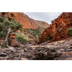 Vlies Fotótapéta - Australian national park - 375x250 cm