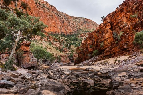 Vlies Fotótapéta - Australian national park - 375x250 cm