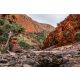 Vlies Fotótapéta - Australian national park - 375x250 cm