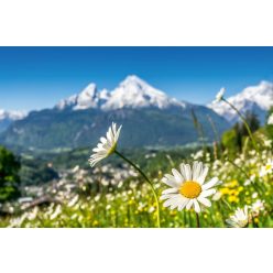 Vlies Fotótapéta - Artistic view of Alps - 375x250 cm