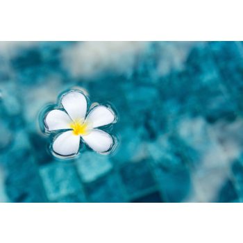 Vlies Fotótapéta - Flower in blue water - 375x250 cm