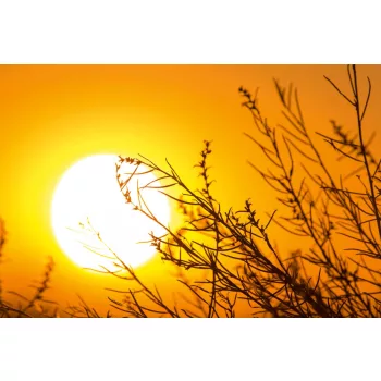 Vlies Fotótapéta - Autumn sunset - 375x250 cm