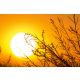 Vlies Fotótapéta - Autumn sunset - 375x250 cm