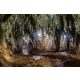 Vlies Fotótapéta - Bright cave  - 375x250 cm