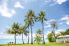 Vlies Fotótapéta - Palm trees on beach - 375x250 cm