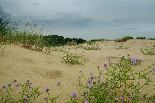 Vlies Fotótapéta - Amazing dunes - 375x250 cm
