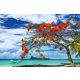 Vlies Fotótapéta - Tropical paradise - 375x250 cm