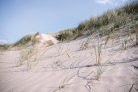 Vlies Fotótapéta - Sand dune in summer - 375x250 cm