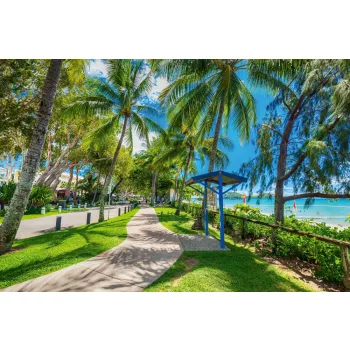 Vlies Fotótapéta - Palm tree road - 375x250 cm