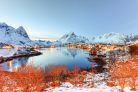 Vlies Fotótapéta - Winter in Reine - 375x250 cm