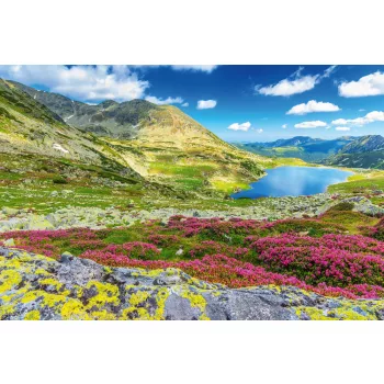 Vlies Fotótapéta - Stunning nature scenery - 375x250 cm