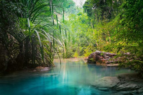 Vlies Fotótapéta - Turquoise water in jungle - 375x250 cm