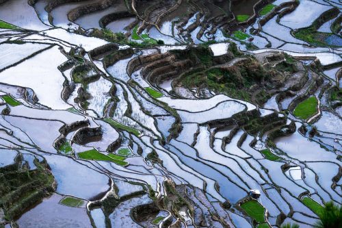 Vlies Fotótapéta - Rice terraces fields - 375x250 cm