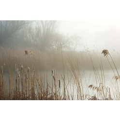 Vlies Fotótapéta - Misty shore - 375x250 cm