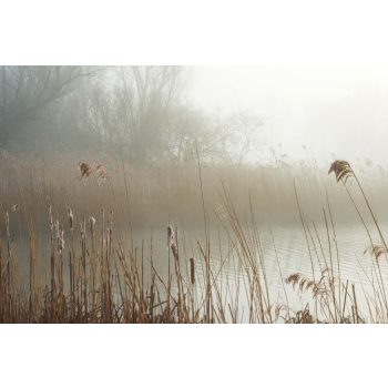Vlies Fotótapéta - Misty shore - 375x250 cm