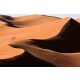 Vlies Fotótapéta - Illuminated sand dunes - 375x250 cm