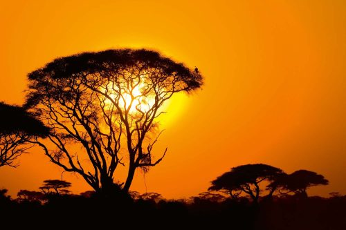 Vlies Fotótapéta - African sunset - 375x250 cm