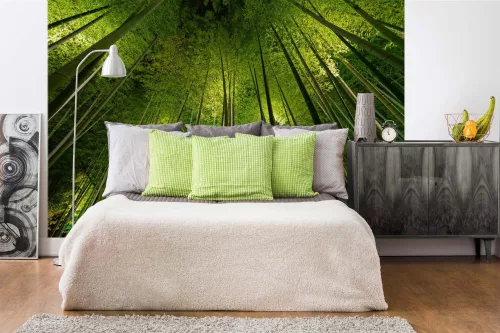 Vlies Fotótapéta - Bamboo - 375x250 cm