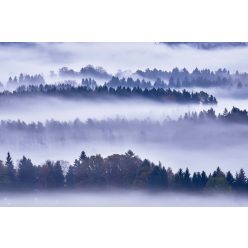 Vlies Fotótapéta - Fog and trees - 375x250 cm