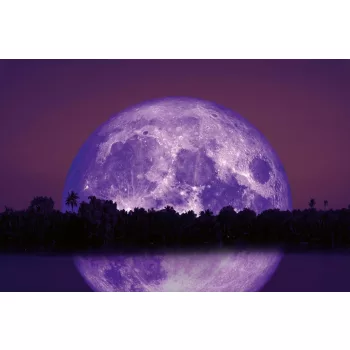Vlies Fotótapéta - Moon reflection on river - 375x250 cm
