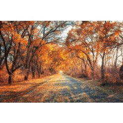 Vlies Fotótapéta - Road in autumn alley - 375x250 cm