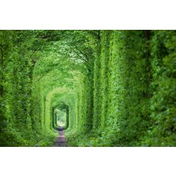 Vlies Fotótapéta - Green tunnel - 375x250 cm