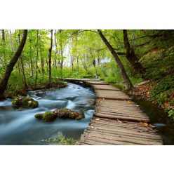 Vlies Fotótapéta - Boardwalk in the Park - 375x250 cm