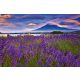 FUJI MOUNTAIN AND LAVENDER fotótapéta, poszter, vlies alapanyag, 375x250 cm