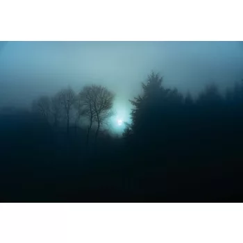 Vlies Fotótapéta - Místy Night Forest - 375x250 cm